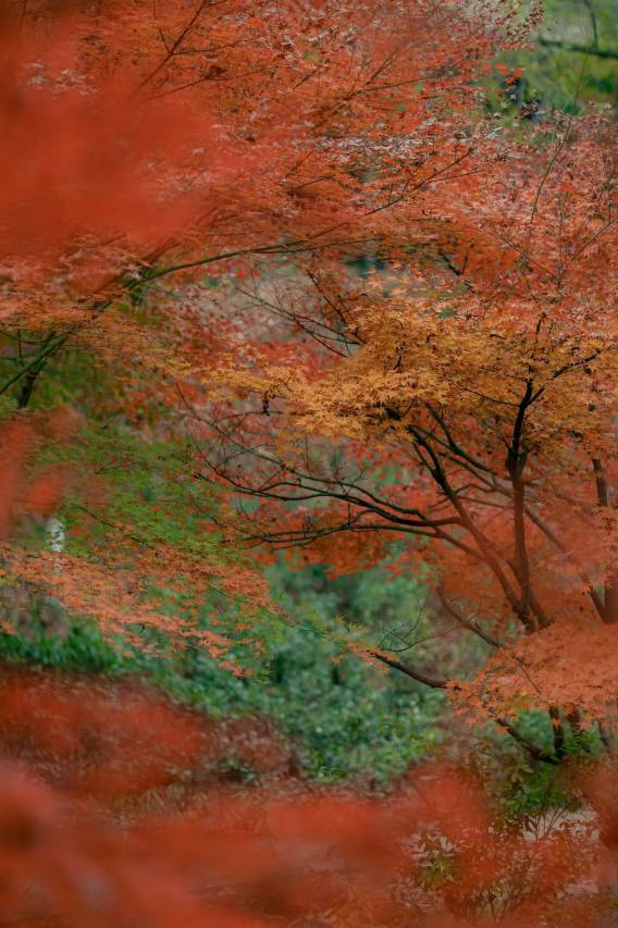 绍兴兰亭璞燊酒店图片