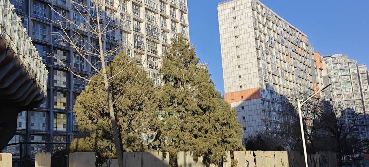悦旅青年民宿图片