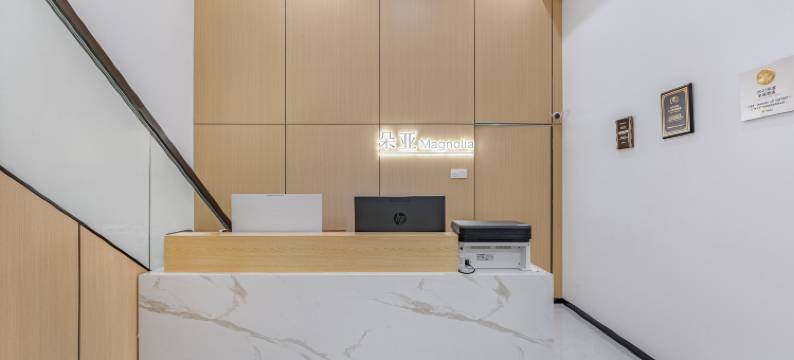 朵亚逸·Downtown Loft Apartment(广州正佳广场体育西路店)图片