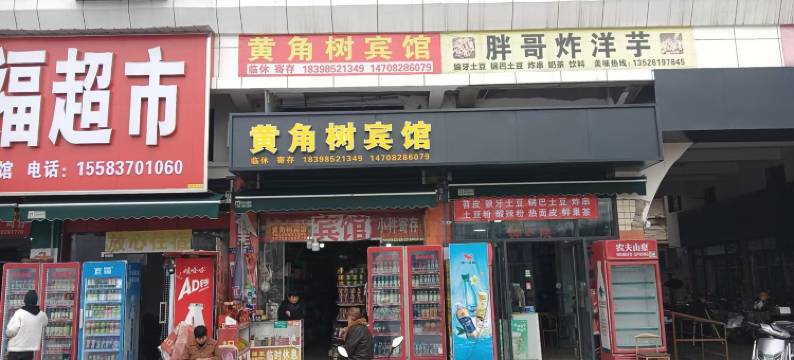 广安黄角树宾馆图片