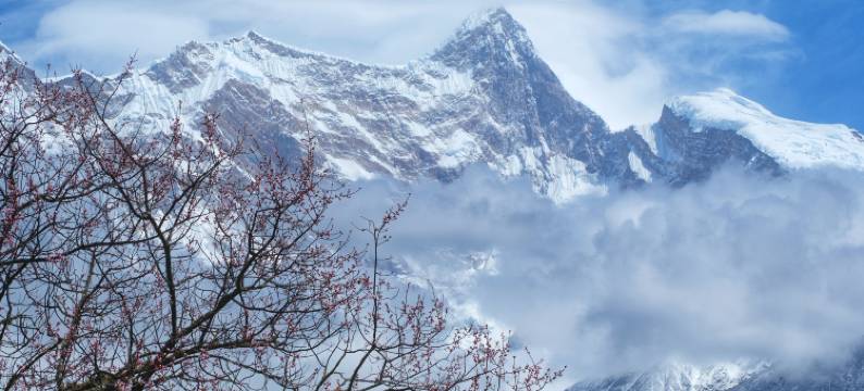 吉美·南迦巴瓦山居图片