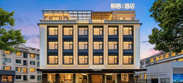 桐栖·Luxury酒店(福鼎青少年宫店)图片