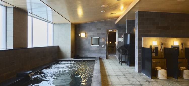 舞滨HULIC景观酒店(旧称东京湾舞滨酒店)(Maihama View Hotel by HULIC (formerly Tokyo Bay Maihama Hotel))图片