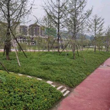 雷神电竞酒店（长治屯留政府店）