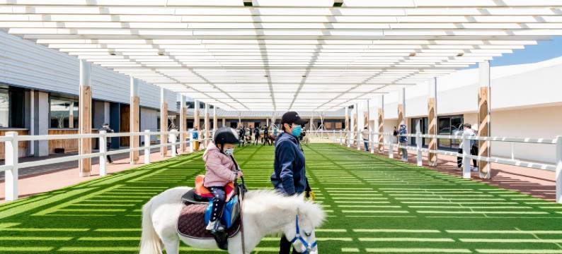 西海岸民宿(孤独图书馆礼堂店)图片