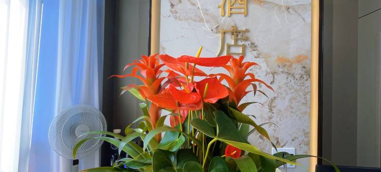 安康漫步间酒店(高新天一城市广场店)图片