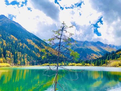 黑水冰彩藏寨图片