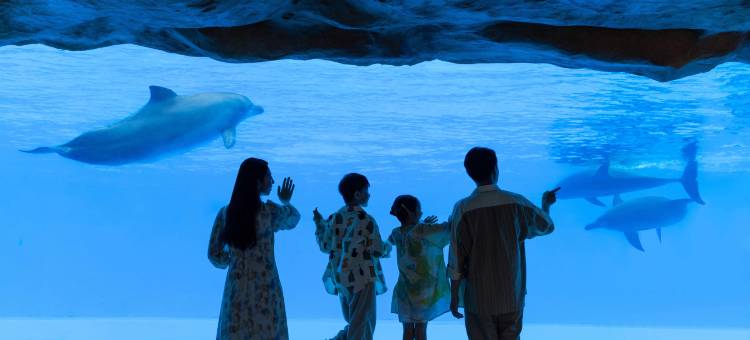 长隆横琴湾酒店(珠海长隆旗舰店)图片