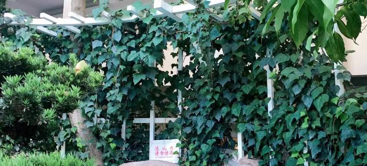 云安温泉度假酒店(贵宾楼店)图片