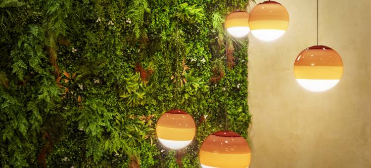 卡塔罗尼亚波塔酒店(Catalonia Puerta del Sol)图片