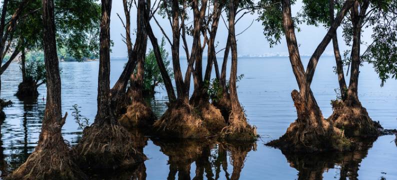 璟寓·日落海景度假美宿(大理洱海店)图片