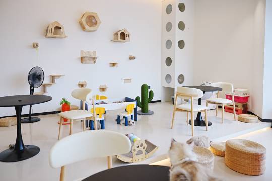 云梦主题酒店(赣州大学城店)图片