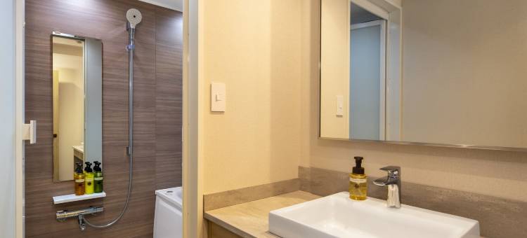 MYSTAYS饭田桥酒店(HOTEL MYSTAYS Iidabashi (Old name：Flexstay Inn Iidabashi))图片