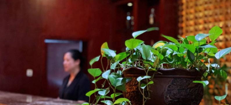 临海双鸽和平国际酒店东楼图片