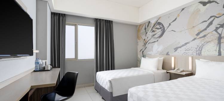 瑞士贝尔埃克斯普雷斯-奇登(Swiss-Belexpress Cideng)图片