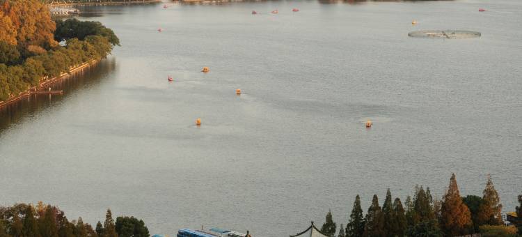 南京金茂威斯汀大酒店图片