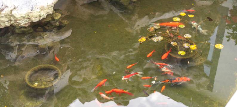 云途•怡麓村居(扬州瘦西湖店)图片