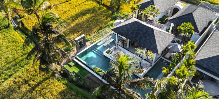 阿尔玛别墅(Villa Alma by BaliSuperHost)图片