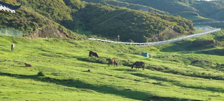 乌蒙大草原十方•云舍民宿图片