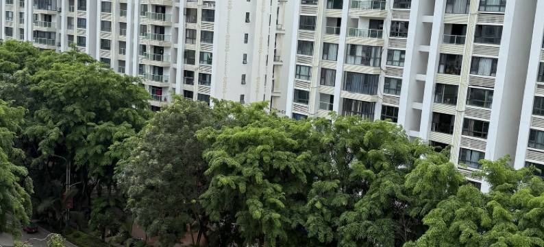 西双版纳椰林度假酒店图片