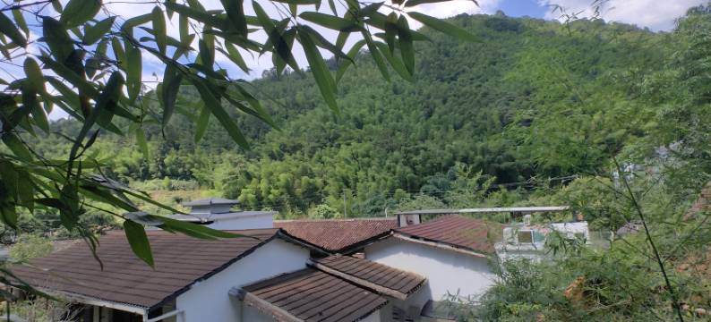 南昆山佰合小苑智能民宿图片