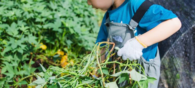 安吉尧珈·山禾稻度假酒店图片