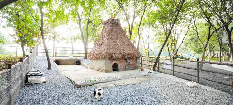 宜兴水墨涵田度假村图片