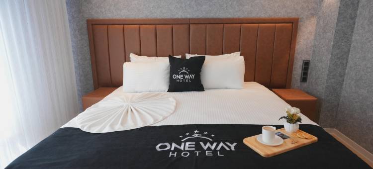 单程(One Way)图片