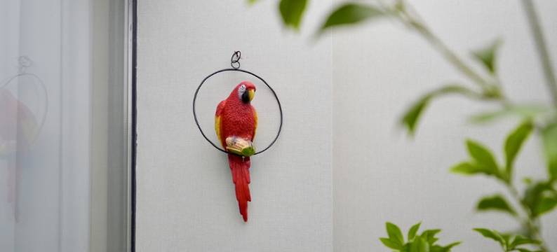 云族翠凤凰酒店图片