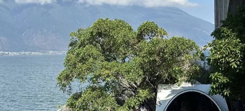 大理狸猫幻海海景别院(洱海童话山海花园店)图片