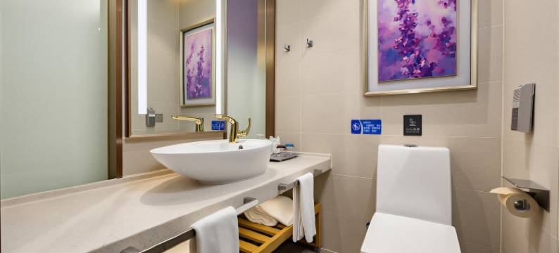 麗枫酒店(北京亦庄开发区东区店)图片