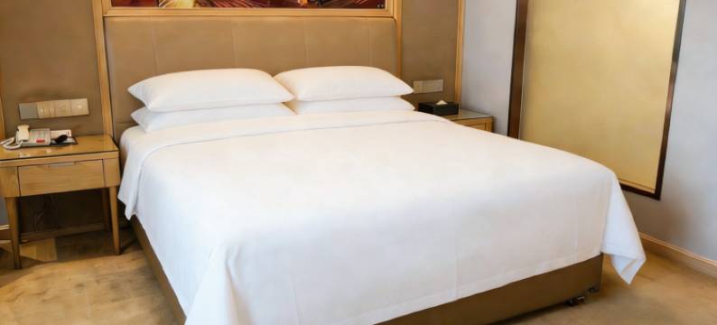 维也纳酒店(绍兴柯桥店)图片