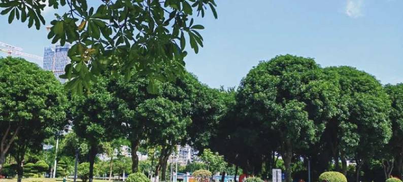 石狮万佳东方酒店( 泰禾广场店)图片