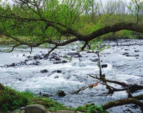 泾县禧玥丨360°森系山居・溯溪・亲子度假美宿(水墨汀溪风景区店)图片