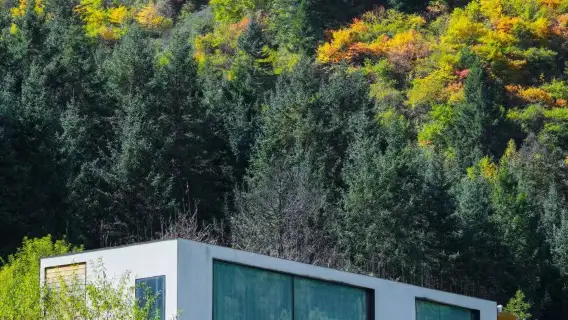農莊