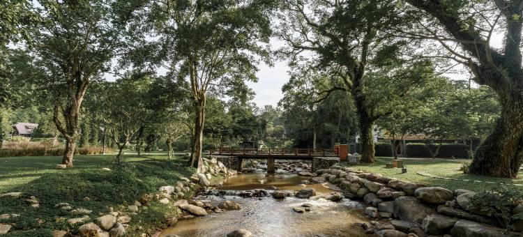 清迈弗洛拉小溪度假村(Flora Creek Chiang Mai)图片