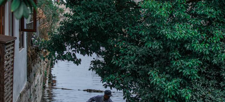 枇杷树下民宿(南浔古镇店)图片