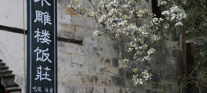 卢村木雕楼农家饭庄图片