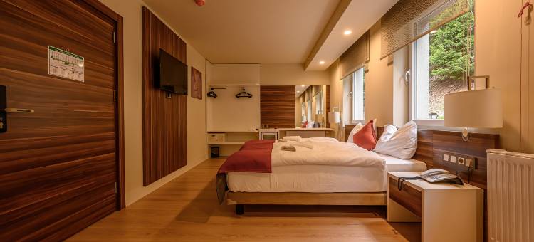 Schwarzbachtal避难所酒店(Hotel Schwarzbachtal Hideaway)图片