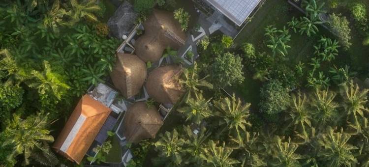 阿玛瑞亚度假村及水疗中心 乌布 由Ini Vie酒店管理(Amarea Resort Ubud by Ini VIE Hospitality)图片