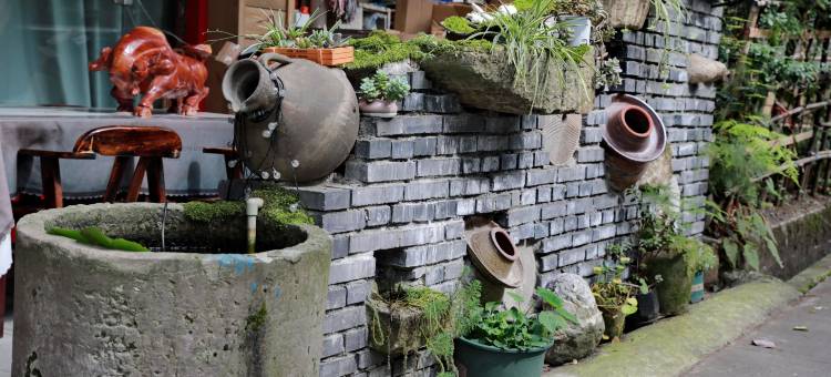 青城山川琼候鸟民宿酒店图片