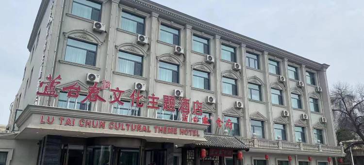 芦台春文化主题酒店(北辰政府果园南道地铁站店)图片