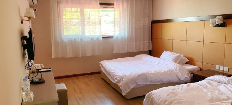 青岛宾临颐舍酒店(石老人海水浴场国际会展中心店)图片