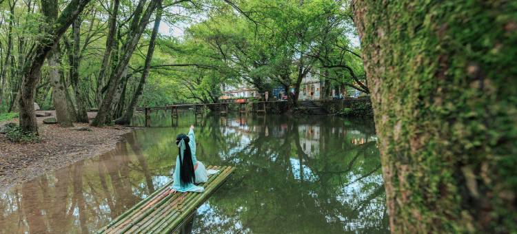 黄山瑞居未来酒店(新安江畔黄山市政府政务服务中心店)图片