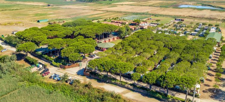 盖塔维拉村朋友俱乐部(Gitavillage Club Degli Amici)图片