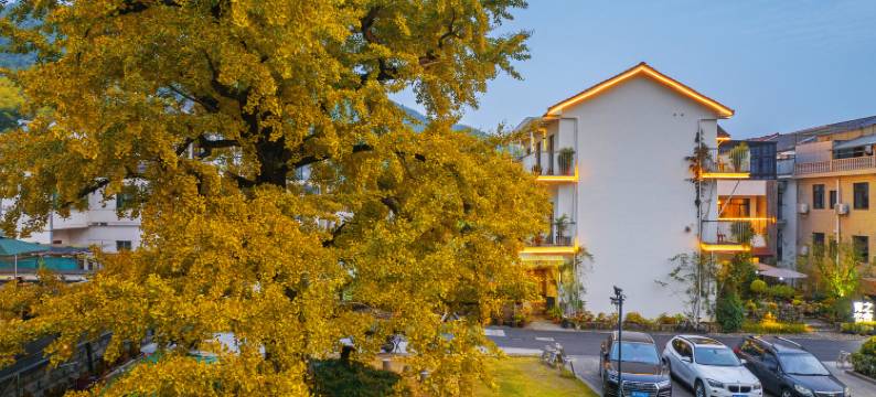 安吉青之恋舍民宿图片