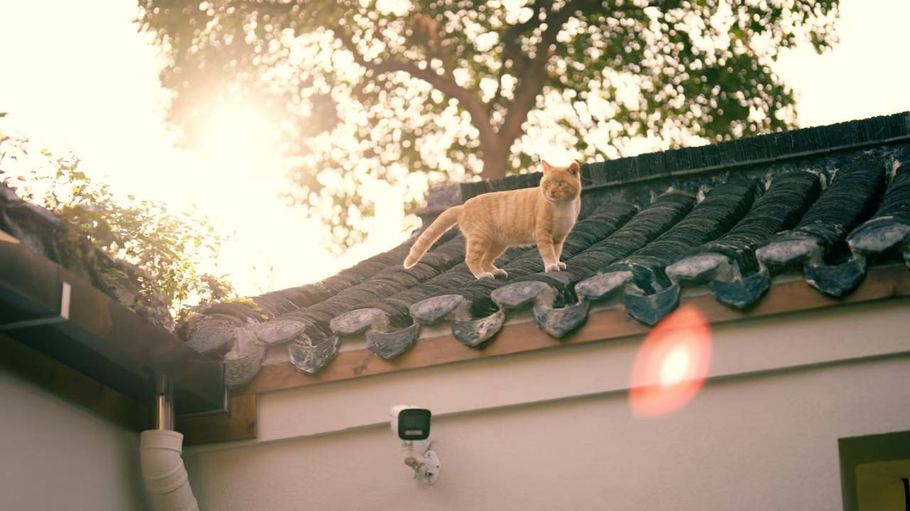 花筑·两厢和民宿(扬州东关街皮市街店)图片