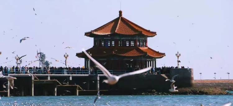 青岛泛海名人酒店图片