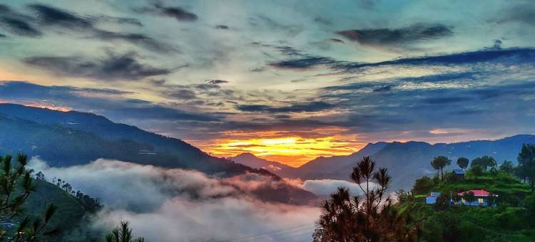 Kabana de Nature(Kabana de Nature)图片