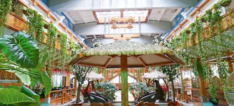 鞍山温泉印象体验馆图片